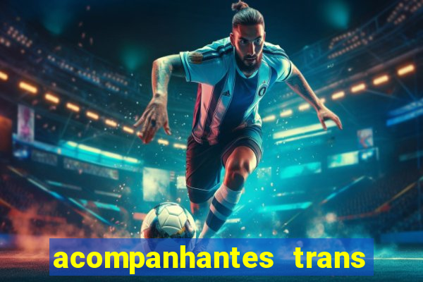 acompanhantes trans baixada fluminense