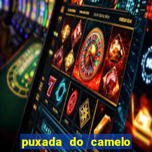 puxada do camelo no jogo do bicho