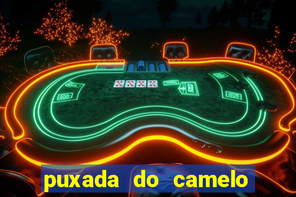 puxada do camelo no jogo do bicho