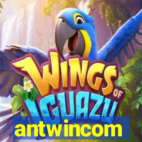 antwincom