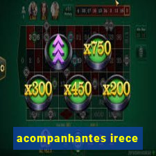 acompanhantes irece