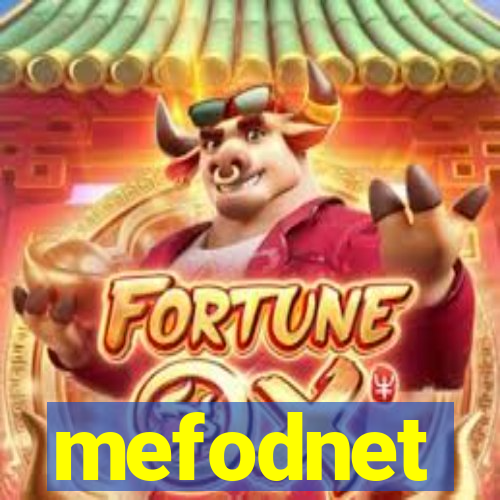 mefodnet