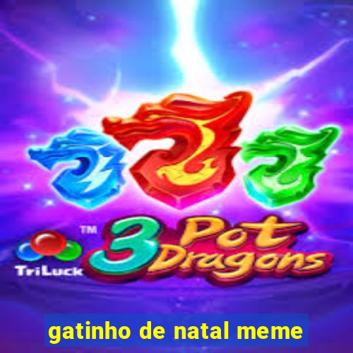 gatinho de natal meme