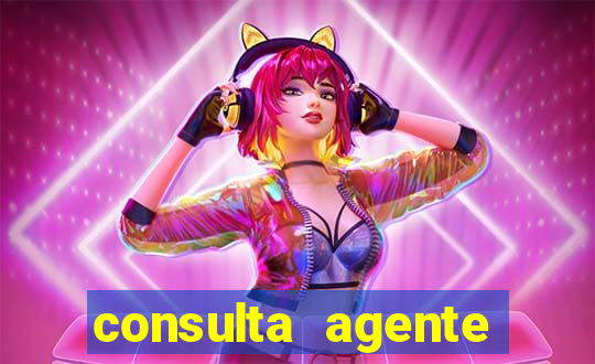 consulta agente autuador sp