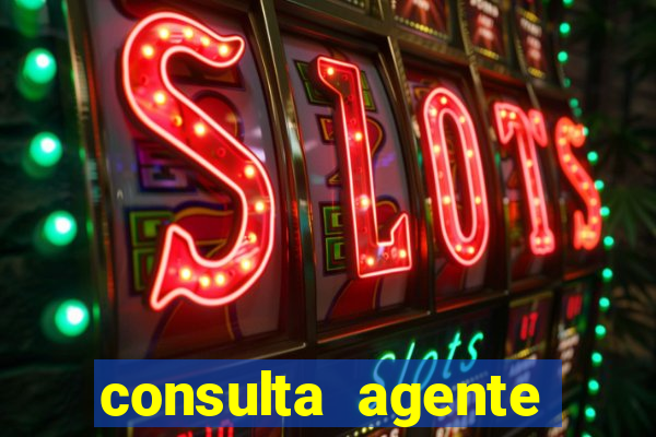 consulta agente autuador sp