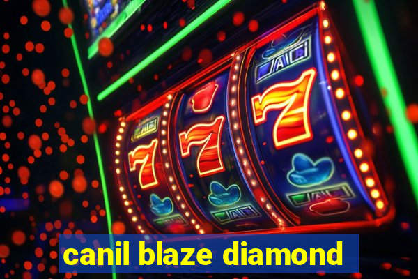 canil blaze diamond