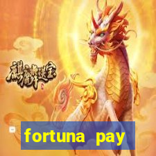 fortuna pay consultoria financeira ltda