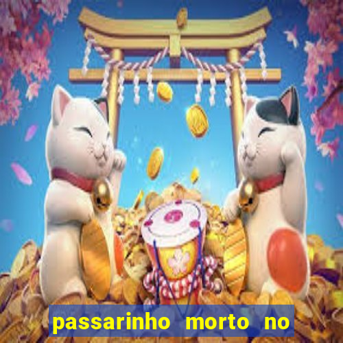 passarinho morto no quintal significado espiritual