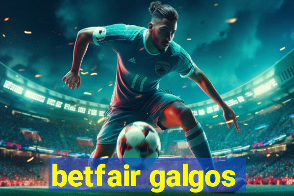 betfair galgos