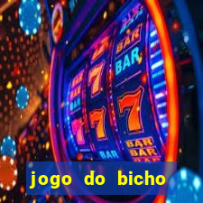 jogo do bicho documentario globoplay