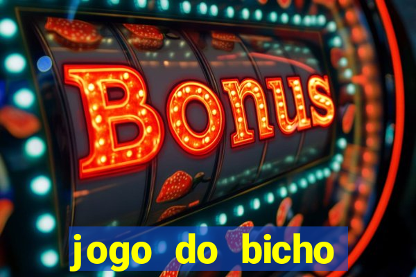 jogo do bicho documentario globoplay