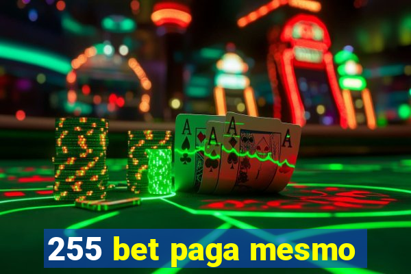 255 bet paga mesmo