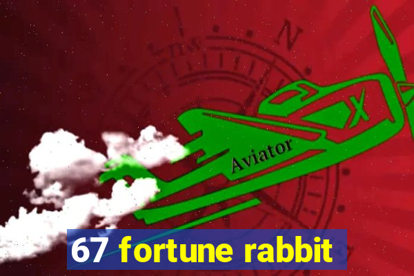 67 fortune rabbit