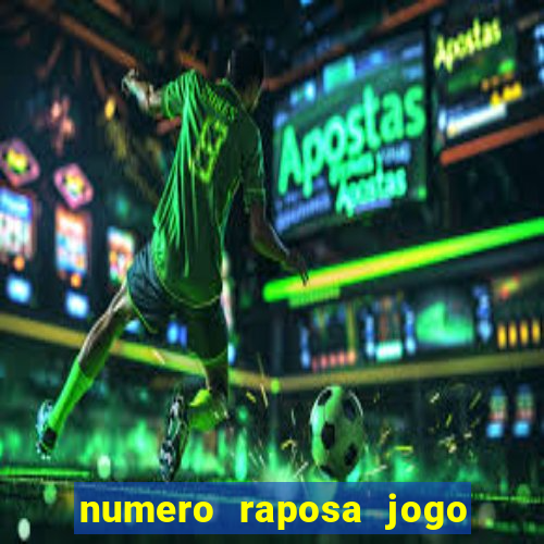 numero raposa jogo do bicho