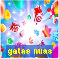 gatas nuas