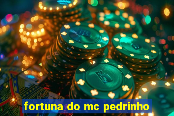 fortuna do mc pedrinho