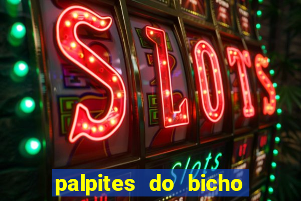 palpites do bicho no celular