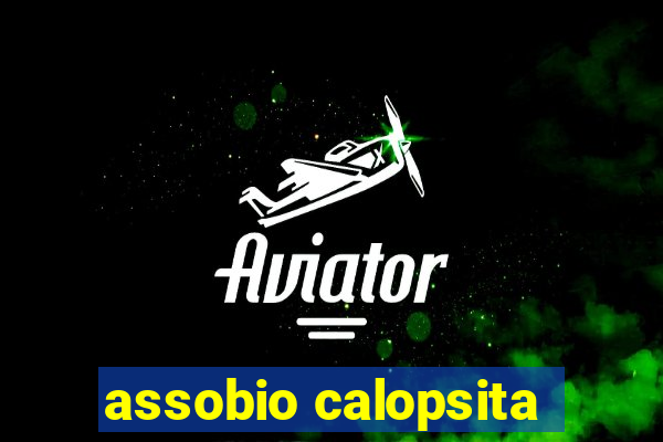 assobio calopsita