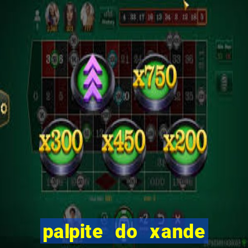 palpite do xande de hoje