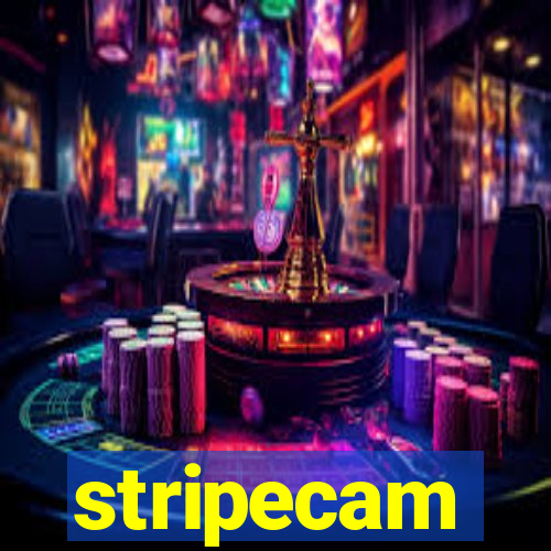 stripecam