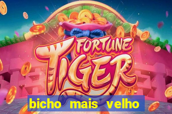 bicho mais velho da loteria dos sonhos