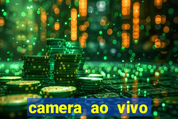 camera ao vivo terminal vila nova cachoeirinha