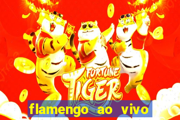 flamengo ao vivo hd play