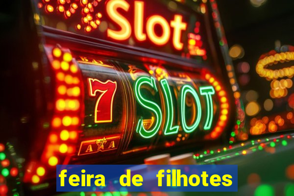 feira de filhotes porto alegre