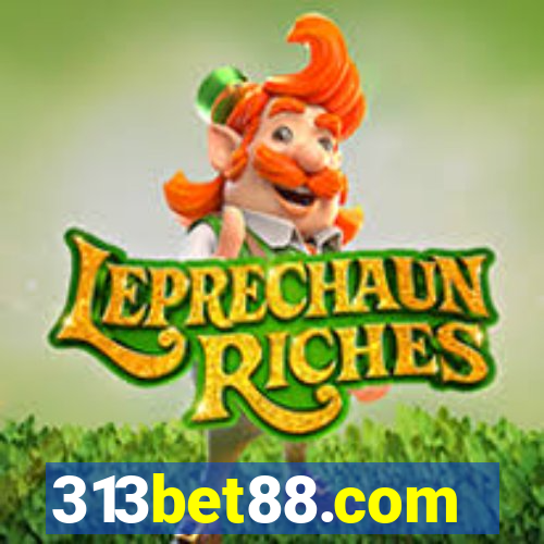 313bet88.com