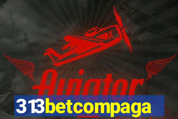 313betcompaga