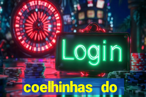 coelhinhas do brasil jp