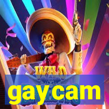 gaycam