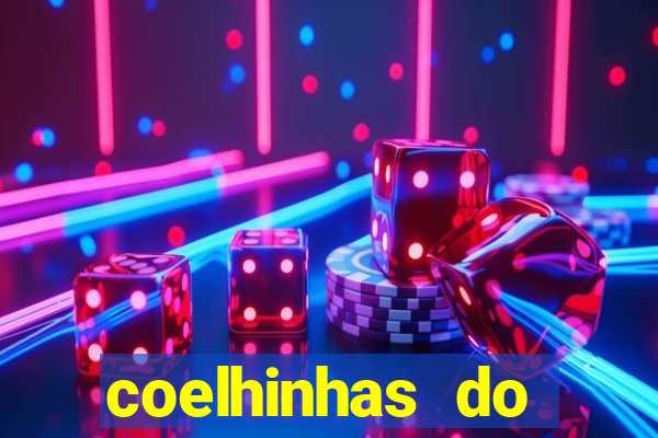 coelhinhas do brasil recife