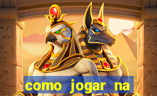 como jogar na seninha online