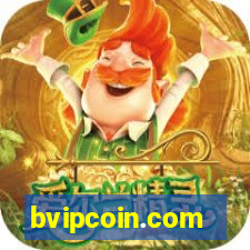 bvipcoin.com