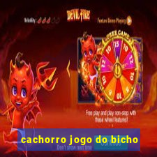 cachorro jogo do bicho