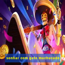 sonhar com gato machucado