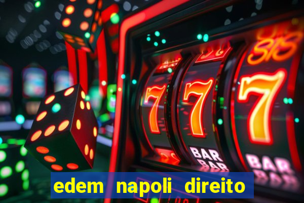 edem napoli direito constitucional pdf