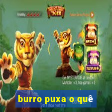 burro puxa o quê