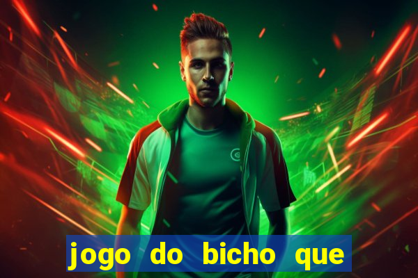 jogo do bicho que paga no pix