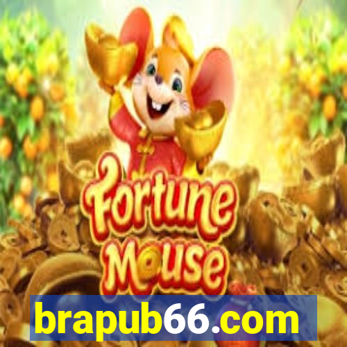 brapub66.com