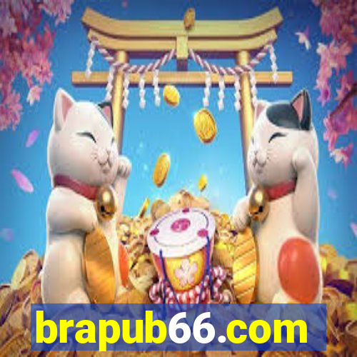 brapub66.com