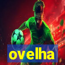 ovelha