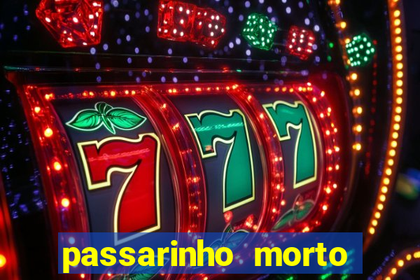 passarinho morto significado espiritual