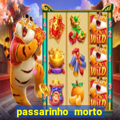 passarinho morto significado espiritual