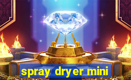 spray dryer mini