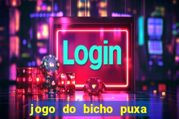 jogo do bicho puxa de dona maria