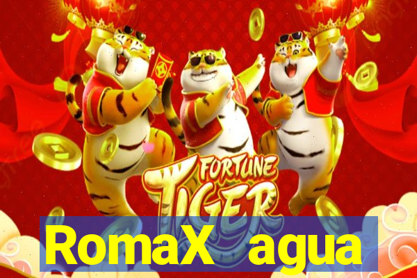 RomaX agua sanitaria fispq agua sanitaria romax