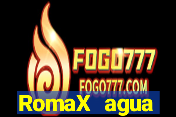 RomaX agua sanitaria fispq agua sanitaria romax