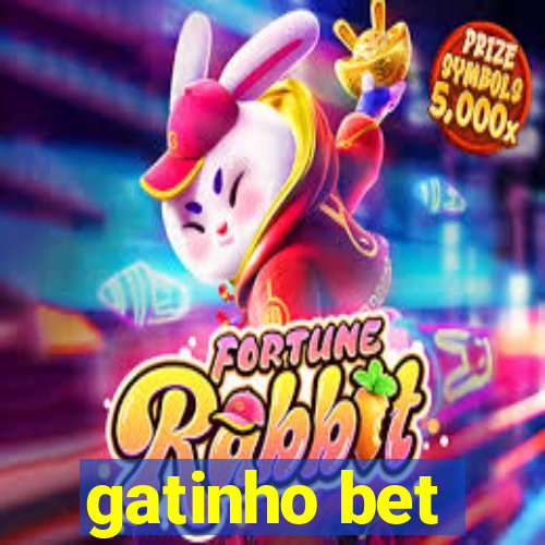 gatinho bet